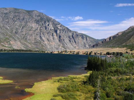 Custer National Forest