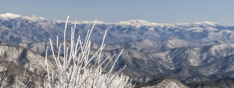 Nantahala_National_Forest
